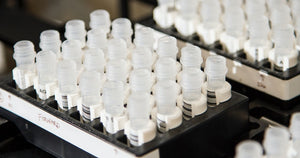   Hydrophilic coatings for medical devices 